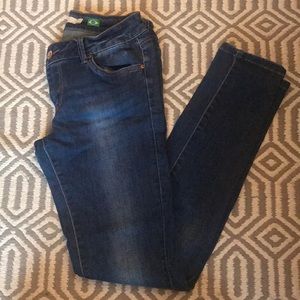 Aquamar Skinny Jeans